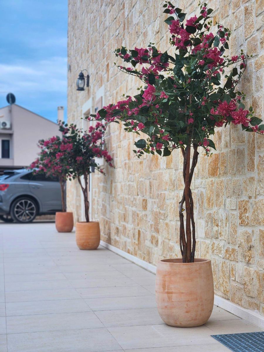 Villa Biograd